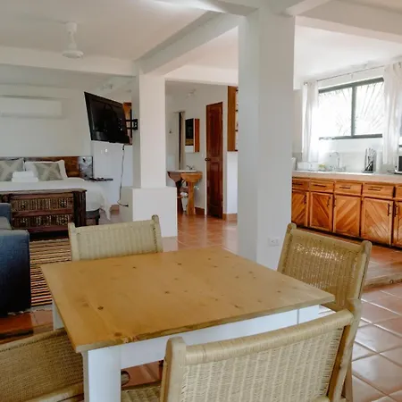 Ocean View Studio In Pelada!